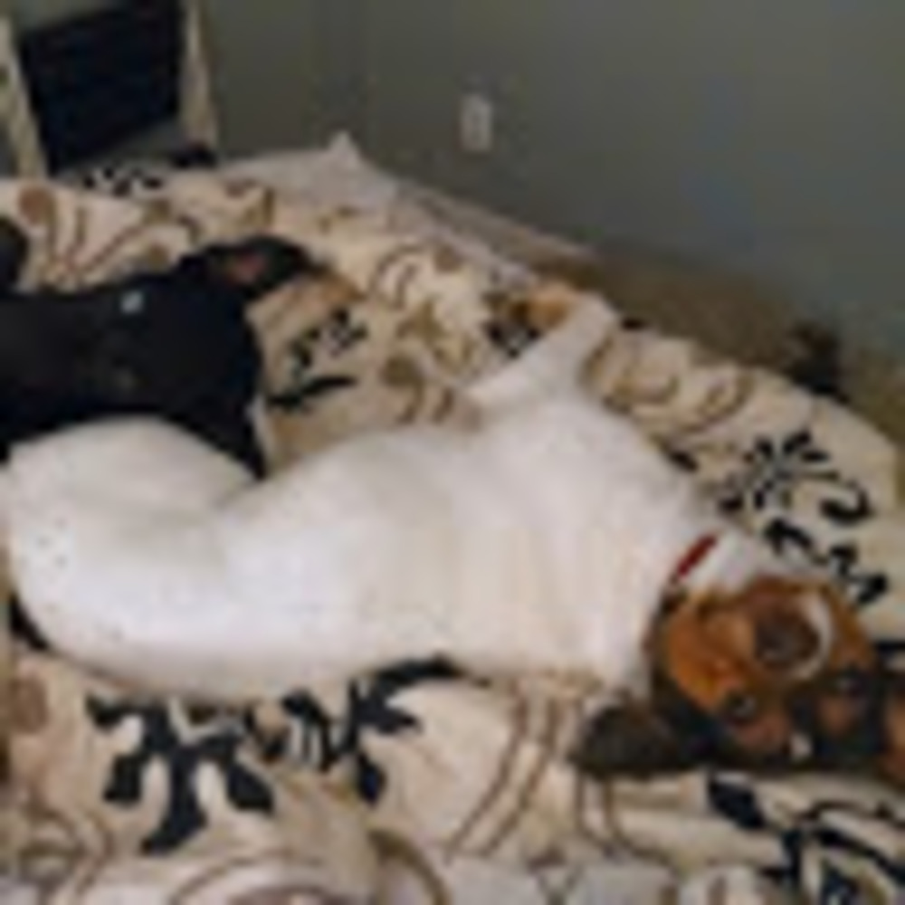 Meet your Posher, Kellie